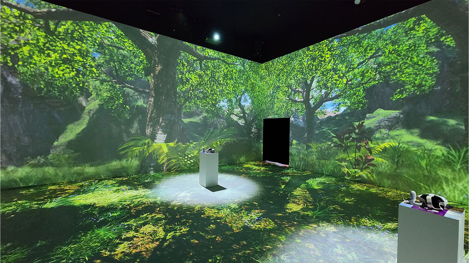 Realitymatters Gaia Immersive Room Experience Jungle
